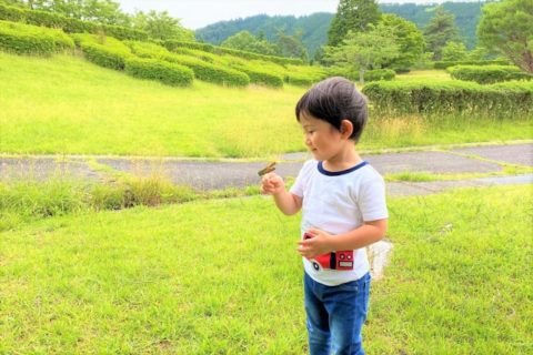 使えない保育士の特徴と対処法のまとめ【冷静に対処しよう】